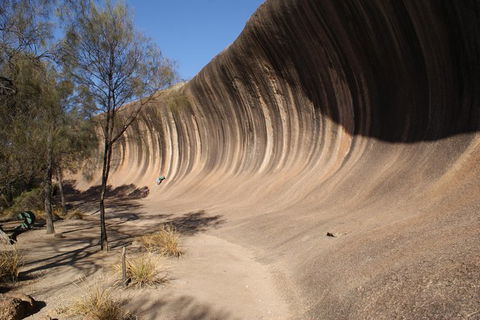 Wave Rock Half Day Air & Ground Tour - Accommodation Newcastle 7