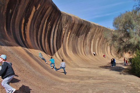 Wave Rock Half Day Air & Ground Tour - Accommodation Newcastle 8