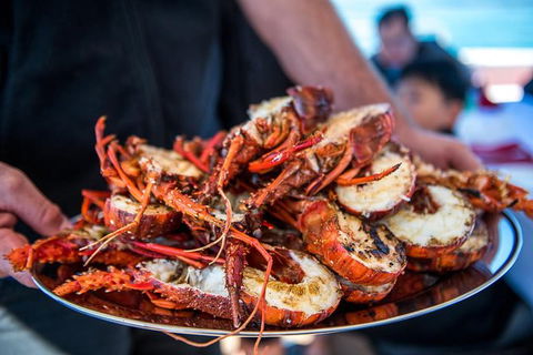 Mandurah Wild Seafood Adventure Cruise - Accommodation Newcastle 1