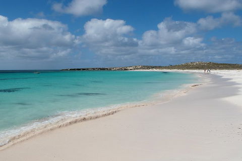 Pink Lake And Abrolhos Full Day Fly And Flipper - Accommodation Newcastle 0