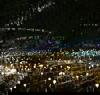 National Anzac Centre Field of Light Panorama Pass - Accommodation Newcastle