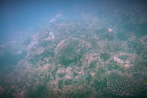 Guided Jet Ski And Snorkel Tour Of Champion Bay - Accommodation Newcastle 1