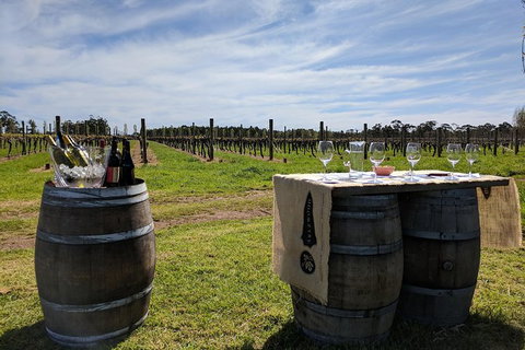 Margaret River Small-Group Full-Day Wine & Food Tour - Accommodation Newcastle 4