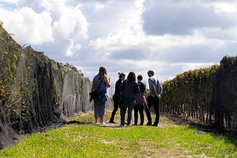 Margaret River Small-Group Full-Day Wine & Food Tour - Accommodation Newcastle 5