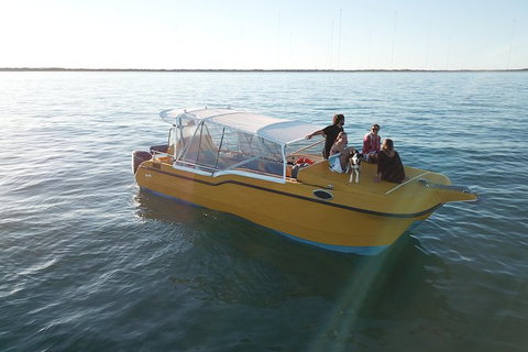 Turtle Tours On The Ningaloo Reef, Exmouth. 1/2 Day Cruise. - Accommodation Newcastle 8