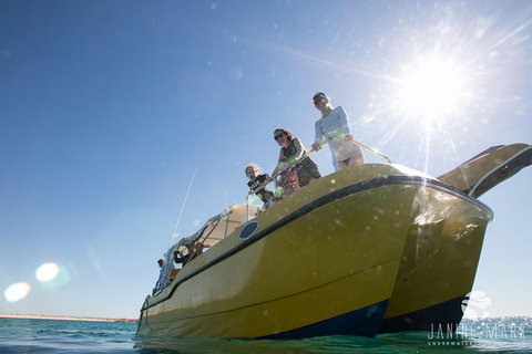 Turtle Tours On The Ningaloo Reef, Exmouth. 1/2 Day Cruise. - Accommodation Newcastle 7