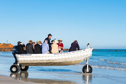 Half-Day Whale Watching Sunset Cruise From Broome - Accommodation Newcastle 11