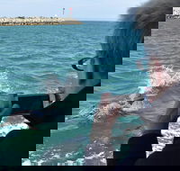 Mandurah Dolphin Island Adventure - Accommodation Newcastle