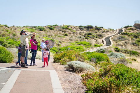Margaret River Coastal And Wildlife Eco Trip From Busselton Or Dunsborough - Accommodation Newcastle 1