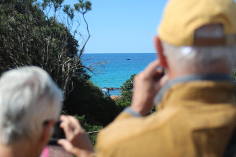 Margaret River Coastal And Wildlife Eco Trip From Busselton Or Dunsborough - Accommodation Newcastle 9