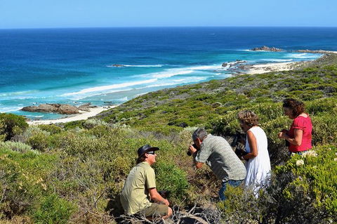 Margaret River Coastal And Wildlife Eco Trip From Busselton Or Dunsborough - Accommodation Newcastle 2