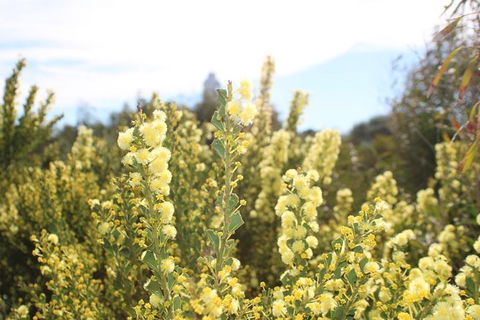 Margaret River Coastal And Wildlife Eco Trip From Busselton Or Dunsborough - Accommodation Newcastle 7