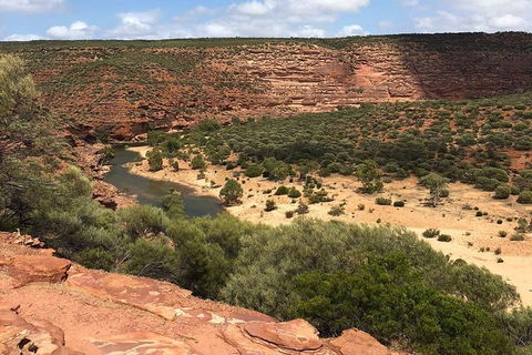 Kalbarri Gorges & West Coast - Ground & Air Tour - Accommodation Newcastle 7