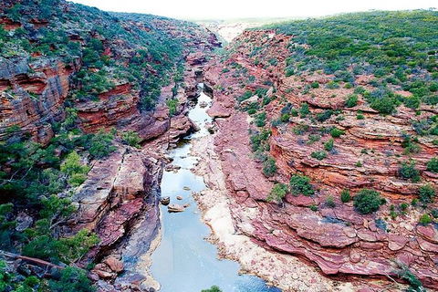 Kalbarri Gorges & West Coast - Ground & Air Tour - Accommodation Newcastle 5