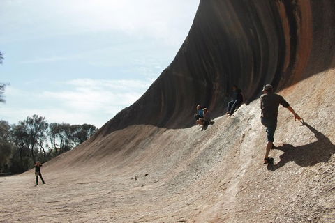 Wave Rock, Pinnacles And Rottnest One Day Aeroplane Tour - Accommodation Newcastle 5