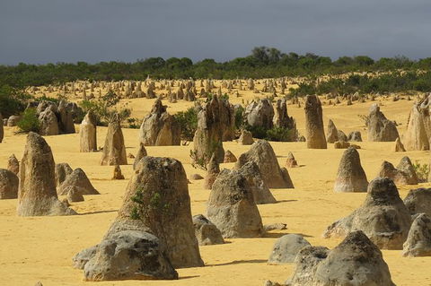 Wave Rock, Pinnacles And Rottnest One Day Aeroplane Tour - Accommodation Newcastle 4