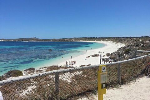 Wave Rock, Pinnacles And Rottnest One Day Aeroplane Tour - Accommodation Newcastle 7