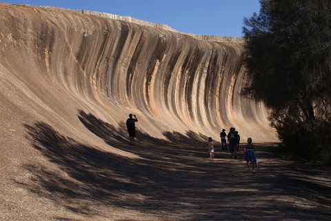 Wave Rock, Pinnacles And Rottnest One Day Aeroplane Tour - Accommodation Newcastle 2