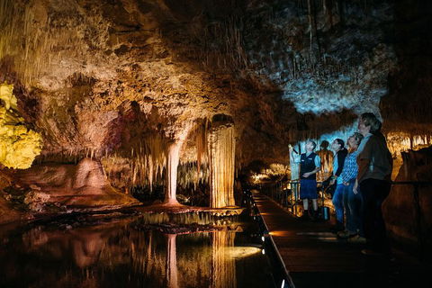 Lake Cave Fully Guided Tour - Accommodation Newcastle 0