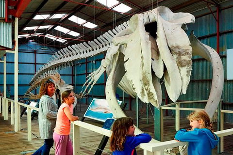 Albany\'s Historic Whaling Station Admission Ticket - Accommodation Newcastle 3