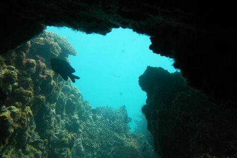 Half-Day Abrolhos Islands Shipwreck Air And Land Tour From Geraldton - Accommodation Newcastle 0