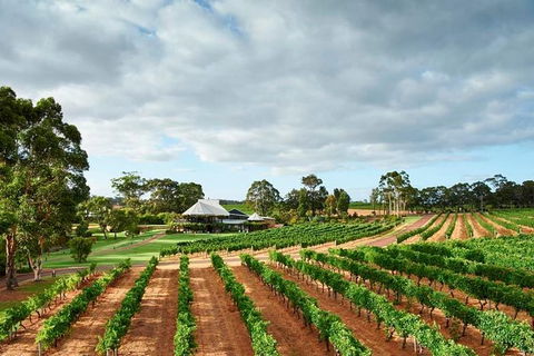 Vasse Felix Winery Tour And Tasting - Accommodation Newcastle 0
