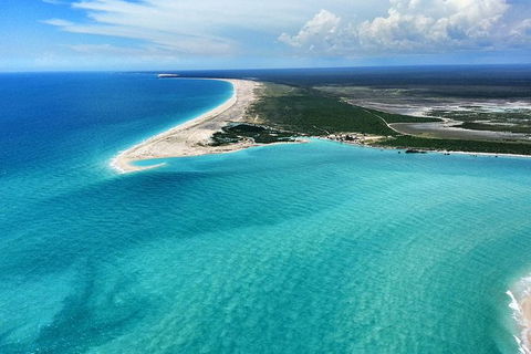 Mitchell Falls Tour - Mt Hart, Mitchell Falls, Horizontal Falls & Cape Leveque - Accommodation Newcastle 3