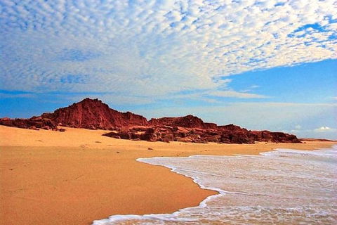 Mitchell Falls Tour - Mt Hart, Mitchell Falls, Horizontal Falls & Cape Leveque - Accommodation Newcastle 4