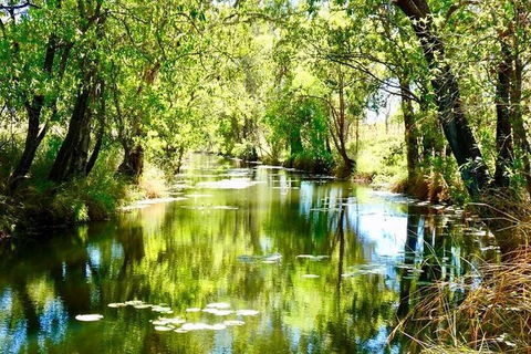 Mitchell Falls Tour - Mt Hart, Mitchell Falls, Horizontal Falls & Cape Leveque - Accommodation Newcastle 9