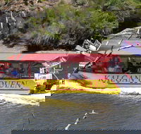 Kalgan Queen Scenic Cruises a four hour sheltered water wildlife tour daily fun. - Accommodation Newcastle