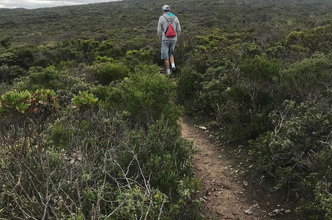 Cape To Cape Track Hike And Winery Tour - Accommodation Newcastle 1