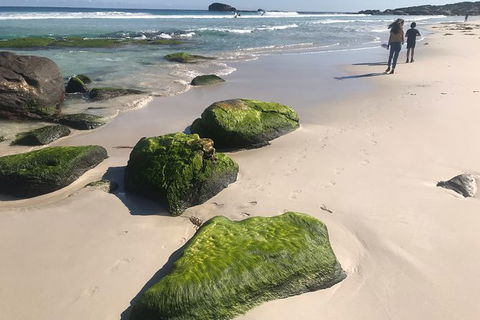 Cape To Cape Track Hike And Winery Tour - Accommodation Newcastle 7