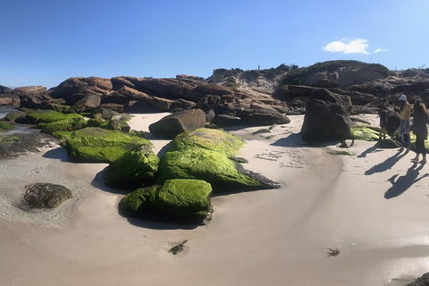 Cape To Cape Track Hike And Winery Tour - Accommodation Newcastle 11
