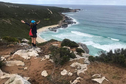 Cape To Cape Track Hike And Winery Tour - Accommodation Newcastle 6