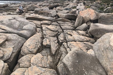 Cape To Cape Track Hike And Winery Tour - Accommodation Newcastle 8