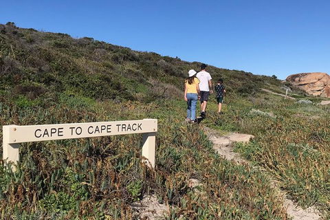 Cape To Cape Track Hike And Winery Tour - Accommodation Newcastle 4