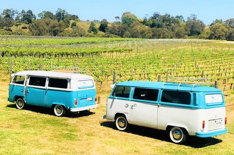 VW Kombi Wine Tour In The Swan Valley - Accommodation Newcastle 6