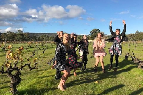 VW Kombi Food, Wine And More Tour (bring The Kids!) - Accommodation Newcastle 3