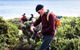 Guided Walks On The Cape To Cape - Redgate Beach To Boranup Forest - thumb 0