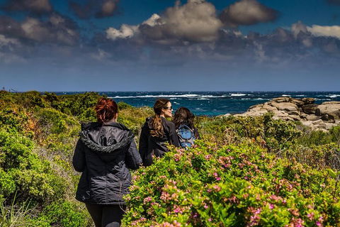 Guided Walks On The Cape To Cape - Redgate Beach To Boranup Forest - Accommodation Newcastle 1
