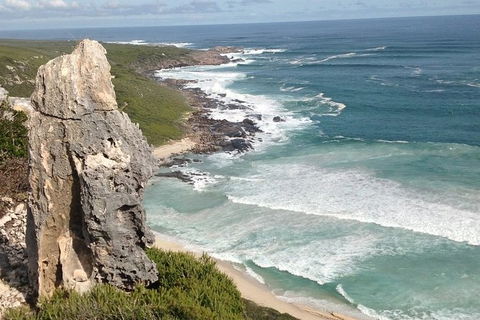 Guided Walks On The Cape To Cape - Redgate Beach To Boranup Forest - Accommodation Newcastle 4
