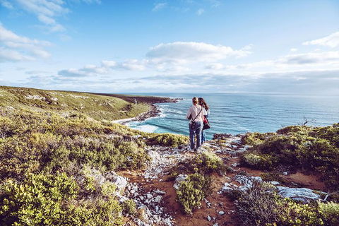 Guided Walks On The Cape To Cape - Redgate Beach To Boranup Forest - Accommodation Newcastle 6