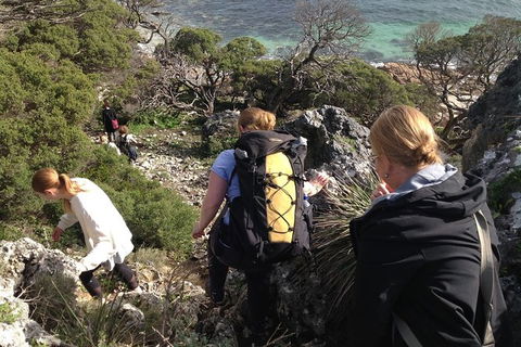 Guided Walks On The Cape To Cape - Redgate Beach To Boranup Forest - Accommodation Newcastle 5
