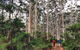 Guided Walks On The Cape To Cape - Redgate Beach To Boranup Forest - thumb 2
