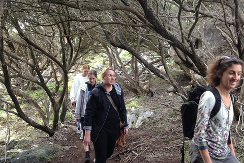 Guided Walks On The Cape To Cape - Redgate Beach To Boranup Forest - Accommodation Newcastle 3