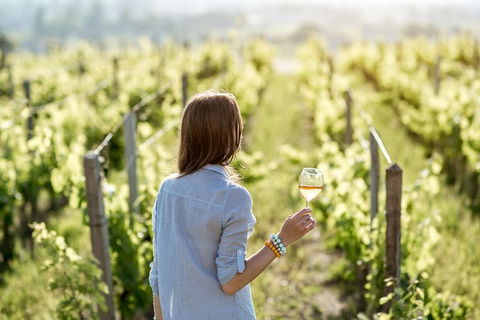 5 Hours Wineries, Coffee Tasting, Forest & Lunch At The Berry Farm - Accommodation Newcastle 0
