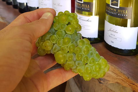 5 Hours Wineries, Coffee Tasting, Forest & Lunch At The Berry Farm - Accommodation Newcastle 12