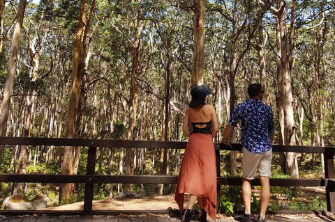5 Hours Wineries, Coffee Tasting, Forest & Lunch At The Berry Farm - Accommodation Newcastle 11
