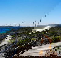 Torndirrup National Park and Bay Highlights - Accommodation Newcastle