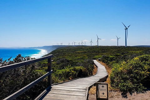 Torndirrup National Park And Bay Highlights - Accommodation Newcastle 0